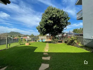 Um jardim gramado com um caminho de pedras leva a uma grande árvore no quintal.