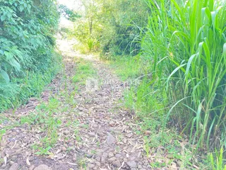 Área rural com 3 dormitórios, foto 15