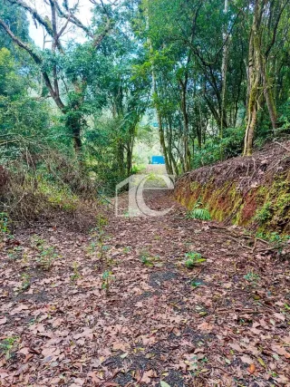 Área rural, foto 9