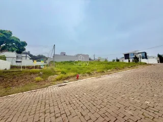 Terreno, foto 1