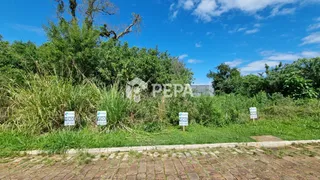 Terreno, foto 2
