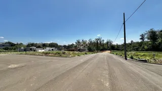 Vista da estrada em Lajeado, Brasil com vegetação ao redor.
