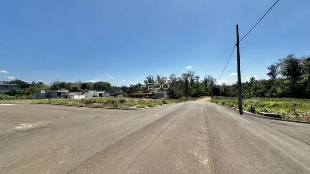 Vista da estrada em Lajeado, Brasil com vegetação ao redor.