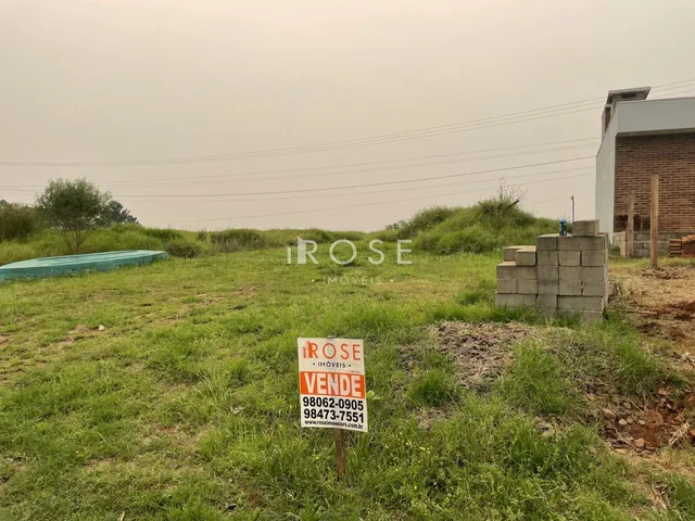 Terreno, foto 2