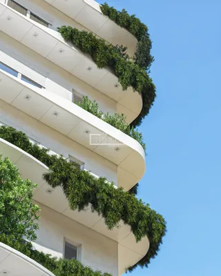 Apartamento com 3 dormitórios, foto 5