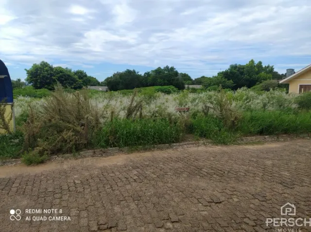 Terreno, foto 3