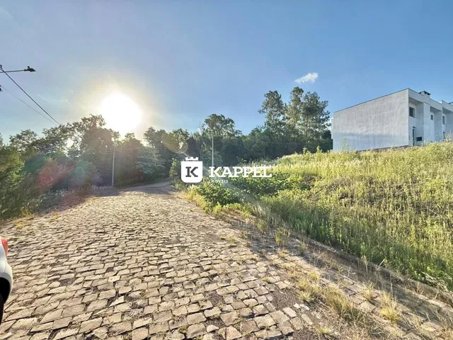 Vista externa de uma estrada de paralelepípedos em direção a um edifício branco sob luz solar intensa.