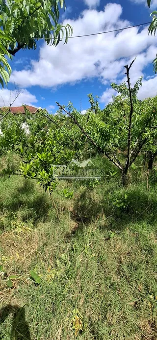Área rural com 4 dormitórios, foto 14