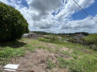 Vista externa de um terreno com vegetação densa e grama seca.