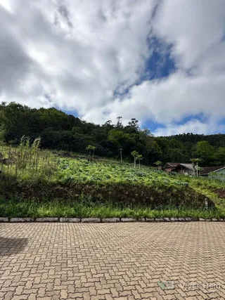 Terreno, foto 4