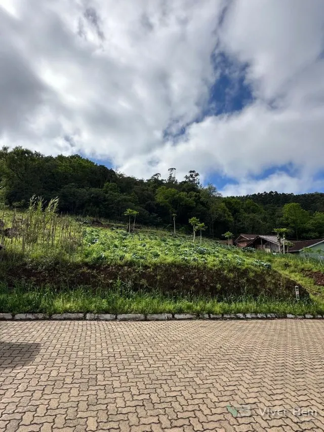 Terreno, foto 4