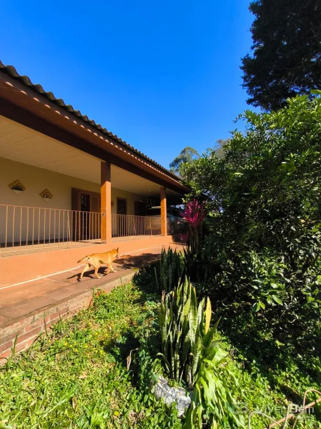 Área rural com 3 dormitórios, foto 3