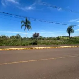 Vista da estrada com vegetação ao fundo.