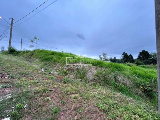 Terreno, foto 2