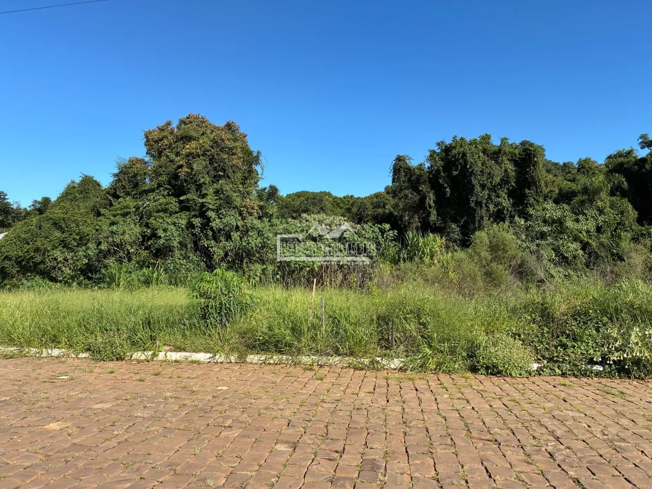 Terreno, foto 1