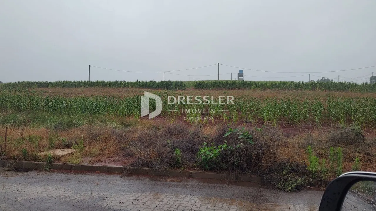 Paisagem de campo com vegetação alta e terra no primeiro plano.