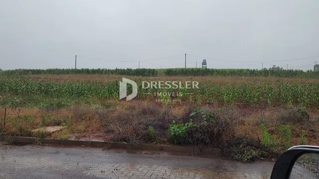 Paisagem de campo com vegetação alta e terra no primeiro plano.
