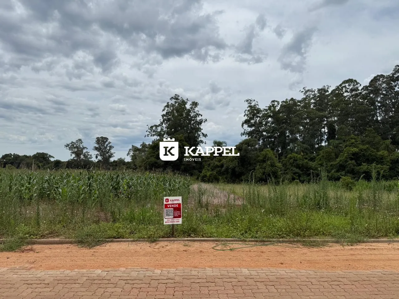 Vista externa de um terreno com vegetação densa e uma placa de venda.