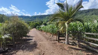 Vista de uma estrada de terra em uma área rural com vegetação exuberante.
