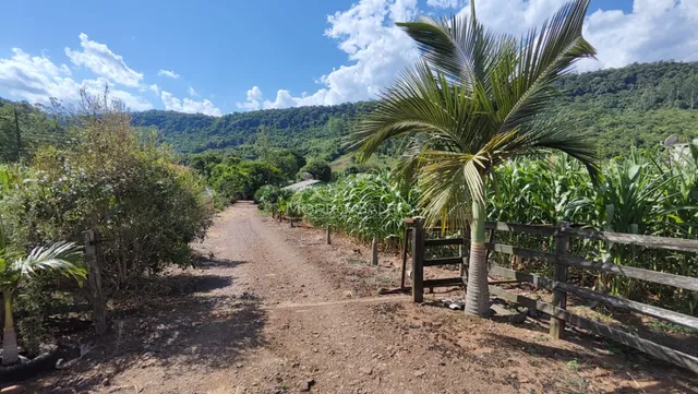 Vista de uma estrada de terra em uma área rural com vegetação exuberante.