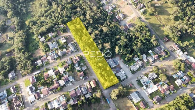 Vista aérea de um lote residencial com vegetação densa ao redor.