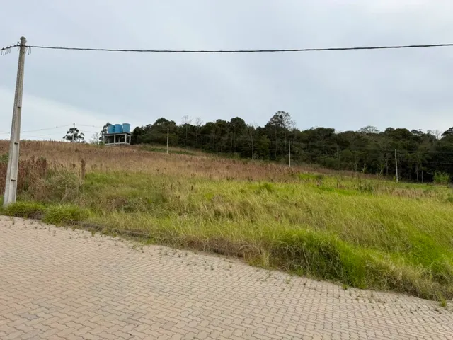 Paisagem de campo com vegetação e uma estrada pavimentada em Lajeado.