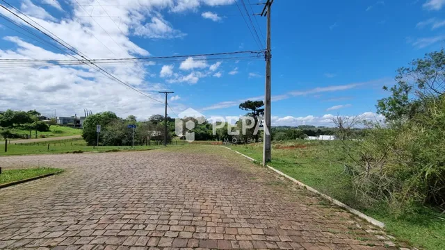 Terreno, foto 3