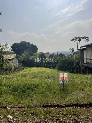 Terreno, foto 1