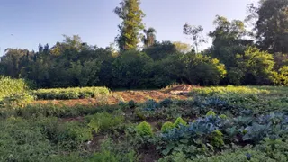 Área rural, foto 20