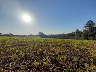 Área rural, foto 2
