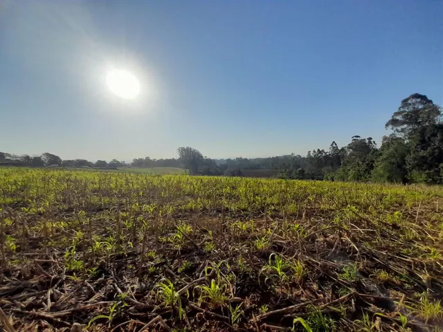 Área rural, foto 2