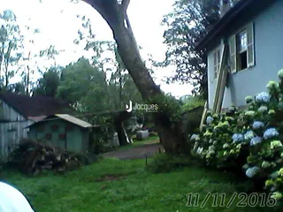 Vista externa de uma propriedade com árvores e gramado.