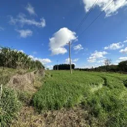 Área rural, foto 4