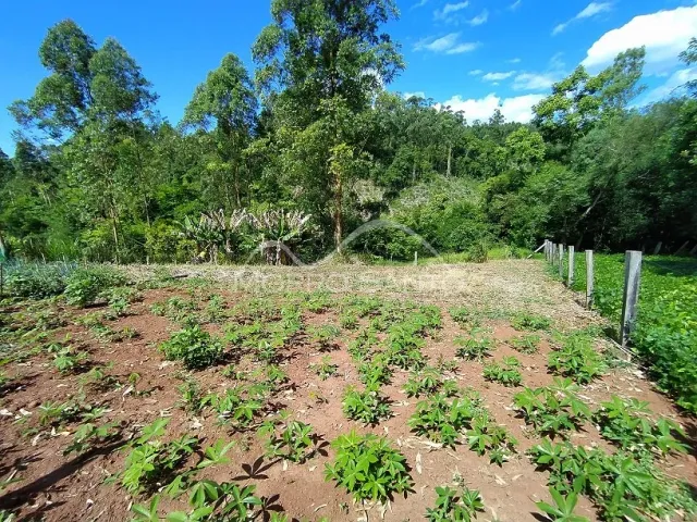 Área rural, foto 4