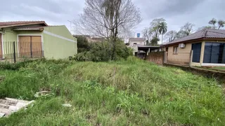 Terreno, foto 3