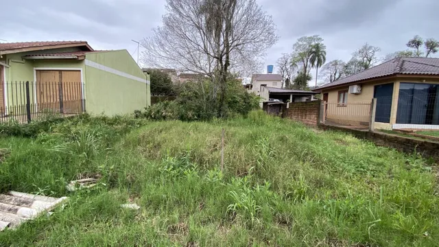 Terreno, foto 3