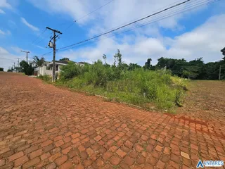 Terreno, foto 3