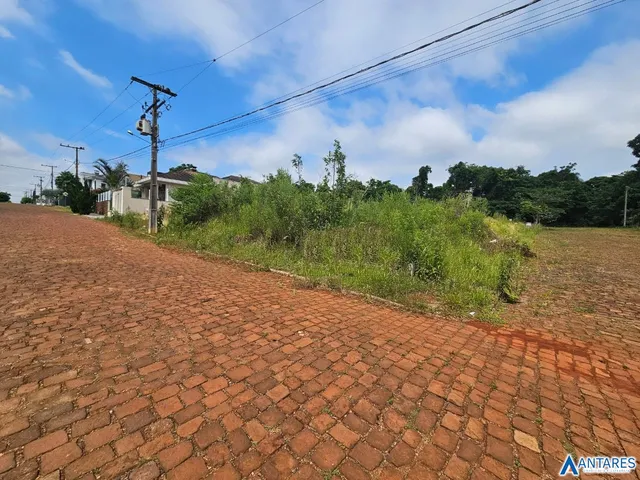 Terreno, foto 3