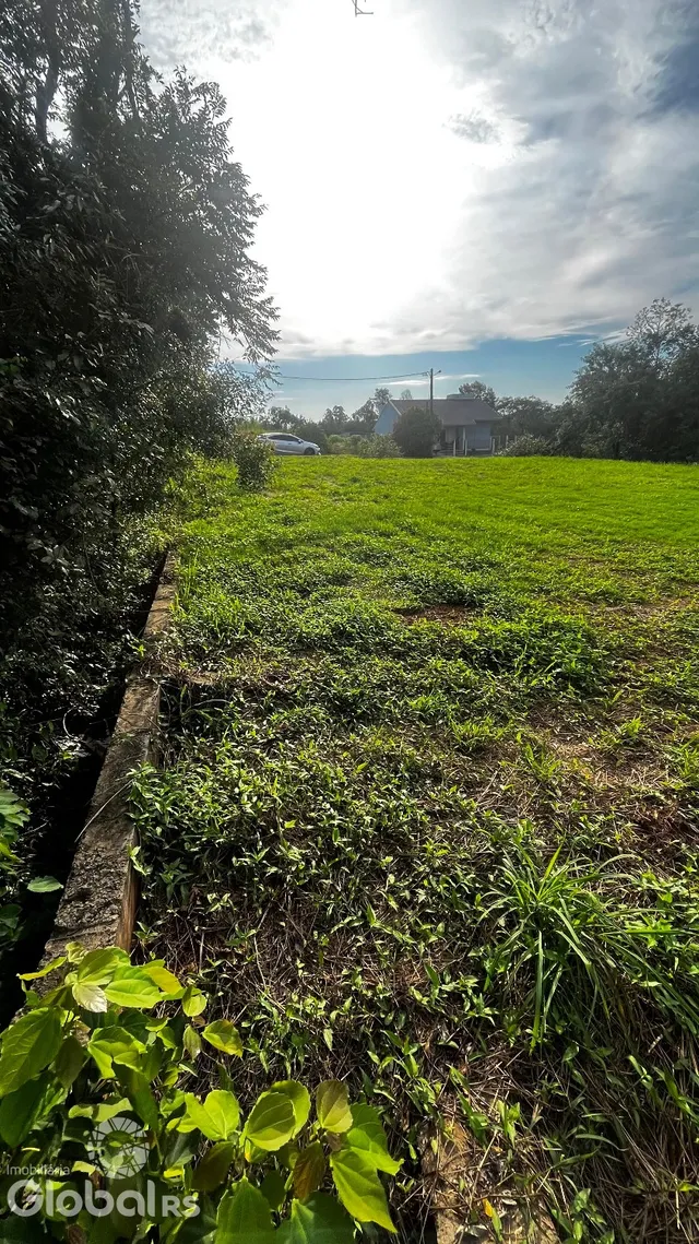 Terreno, foto 3