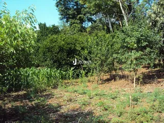 Área rural, foto 7