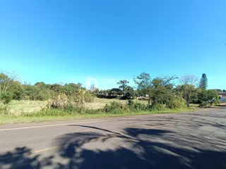 Vista de uma estrada rural com vegetação ao fundo.