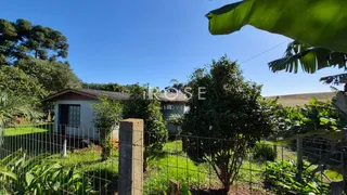 Área rural com 3 dormitórios, foto 4
