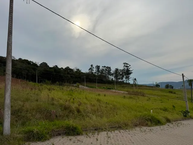 Terreno, foto 3