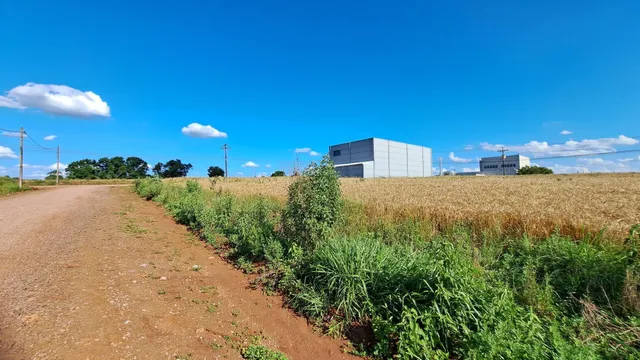 Terreno, foto 3