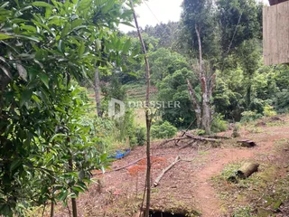 Área rural com 2 dormitórios, foto 7