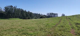 Vista panorâmica de um campo gramado com vegetação e trilha de terra.