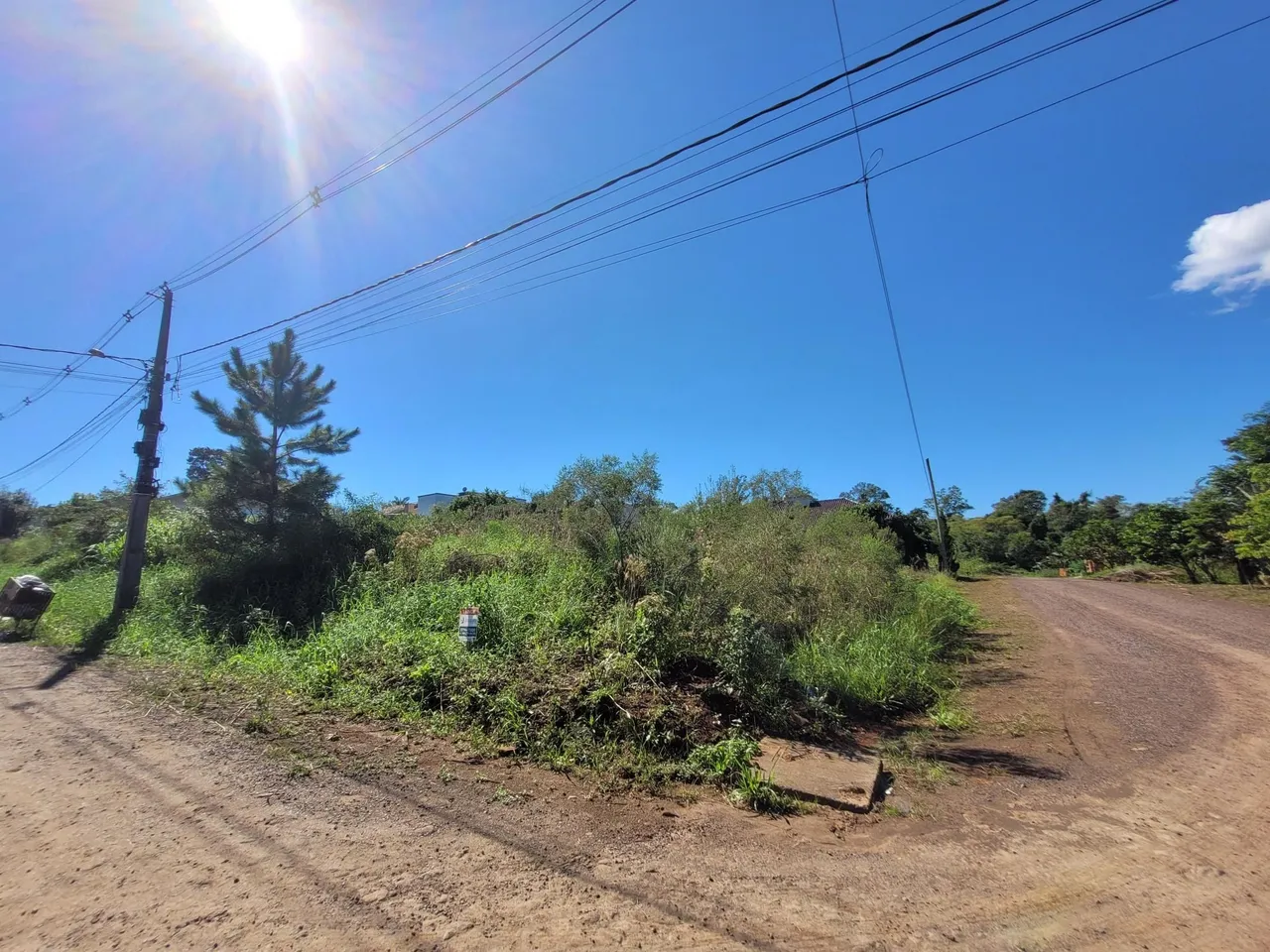 Terreno, foto 1