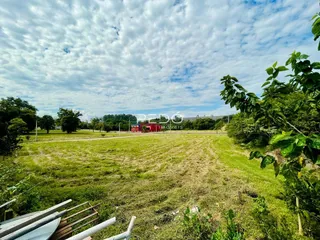 Vista aérea de um terreno gramado com vegetação densa.