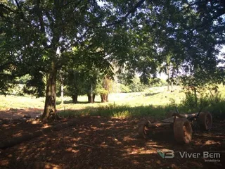 Área rural com 4 dormitórios, foto 6