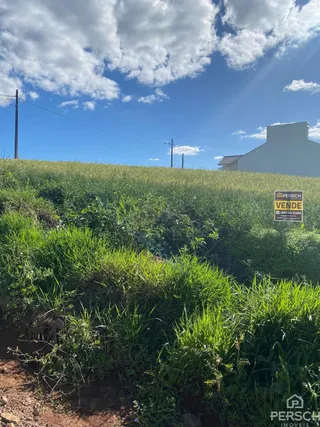 Terreno, foto 2
